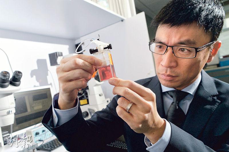 在港土生土長的李登偉6年前從美國回流香港，他憶述當年因為兒子先天器官移位而夭折，毅然決定與太大回港推廣幹細胞研究，亦令他視自己為幹細胞研究的捍衛者。（蘇智鑫攝）