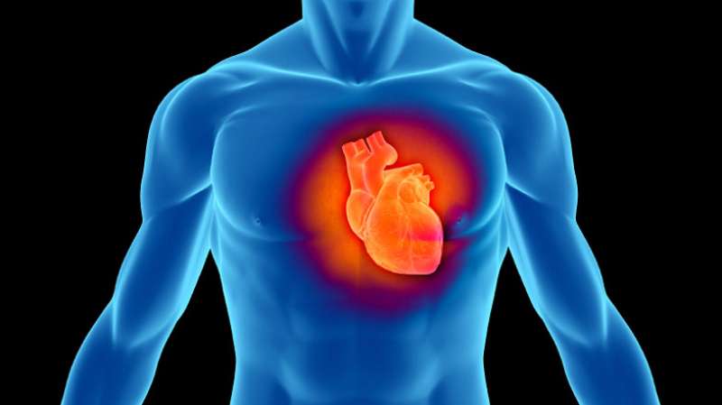 ▲以往的研究主要集中在飲酒與心血管病的長遠關係，今次研究則集中在短期反應。