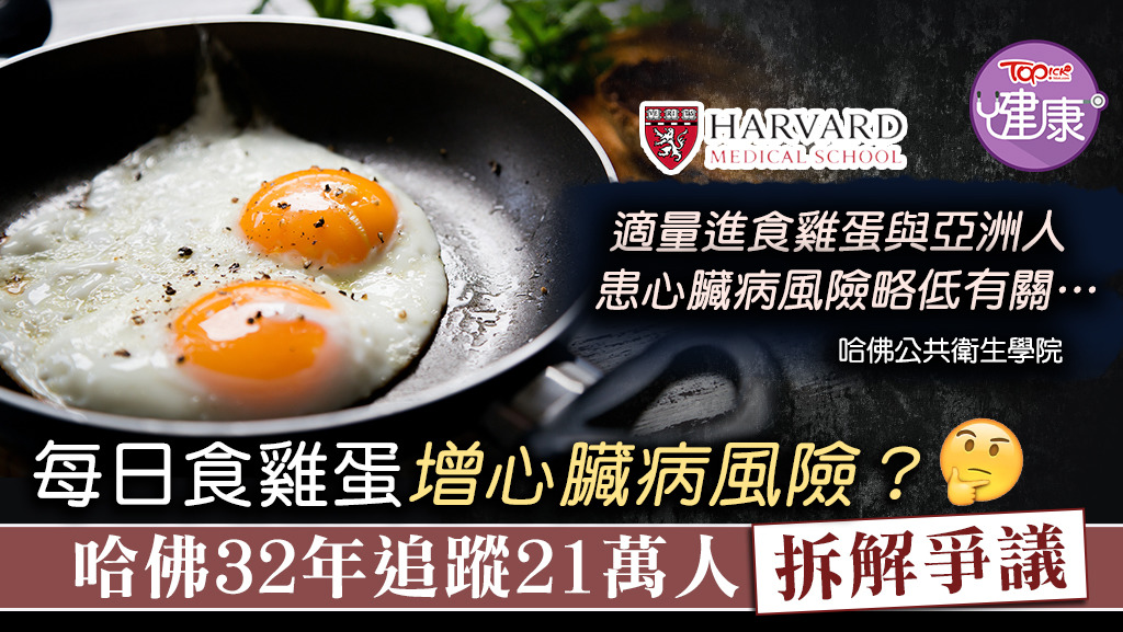 ▲ 哈佛研究發現，每日食1隻雞蛋，並不會增加心血管疾病風險。