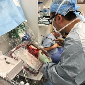 醫生小心翼翼地將心臟移到器官護養系統。（瑪麗醫院提供圖片）