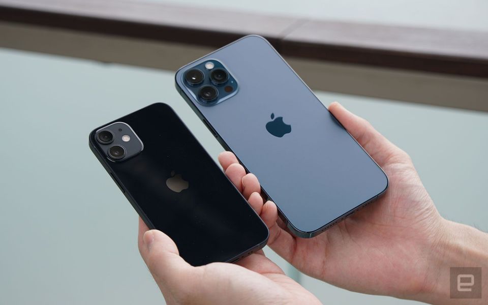 IPhone 12 Pro Max, IPhone 12 Mini