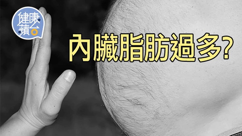 皮下脂肪｜中央肥胖反映內臟脂肪過多危害健康 美硏究指皮下脂肪較健康